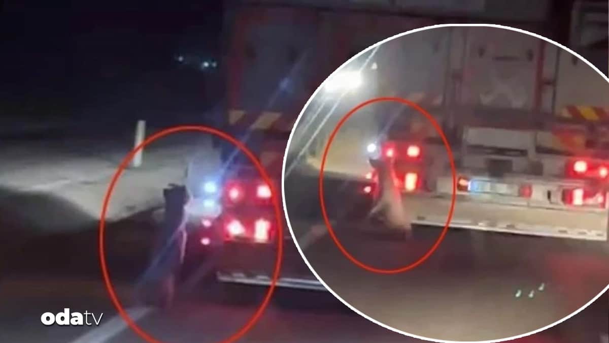 Denizli'de vahşet: Köpeği kamyonetin arkasına bağladı Denizli'de vahşet: Köpeği kamyonetin arkasına bağladı