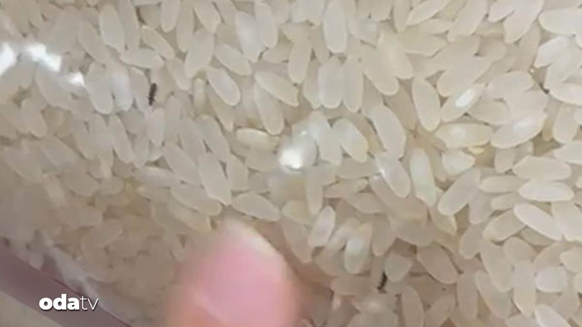 Pirinç paketinde böcekler çıktı Pirinç paketinde böcekler çıktı