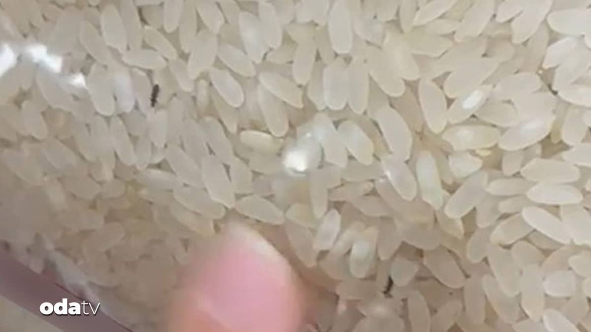 Pirinç paketinde böcekler çıktı Pirinç paketinde böcekler çıktı