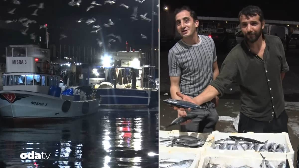 Av yasağı sona erdi: Balıkçılar ’Vira Bismillah’ dedi Av yasağı sona erdi: Balıkçılar ’Vira Bismillah’ dedi