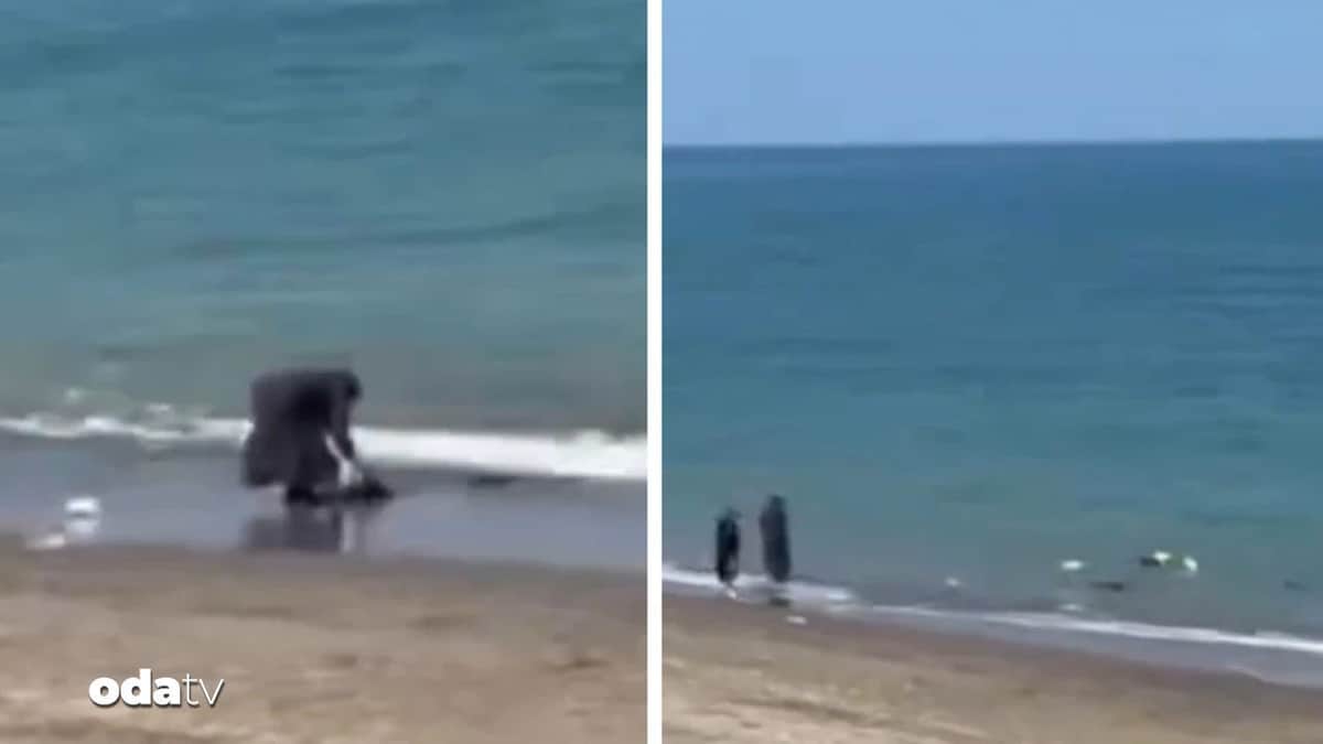 Deniz kenarında pes dedirten görüntüler Deniz kenarında pes dedirten görüntüler