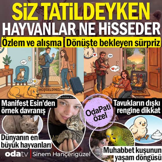 Hayvanlar siz tatildeyken ne hisseder: Dönüşte bekleyen sürpriz... Tavuk dışkı rengine dikkat... Manifest Esin'den örnek davranış Hayvanlar siz tatildeyken ne hisseder: Dönüşte bekleyen sürpriz... Tavuk dışkı rengine dikkat... Manifest Esin'den örnek davranış