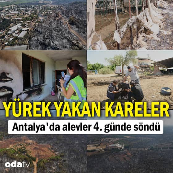 Antalya'da alevler 4. günde söndü: Geriye yürek yakan kareler kaldı Antalya'da alevler 4. günde söndü: Geriye yürek yakan kareler kaldı