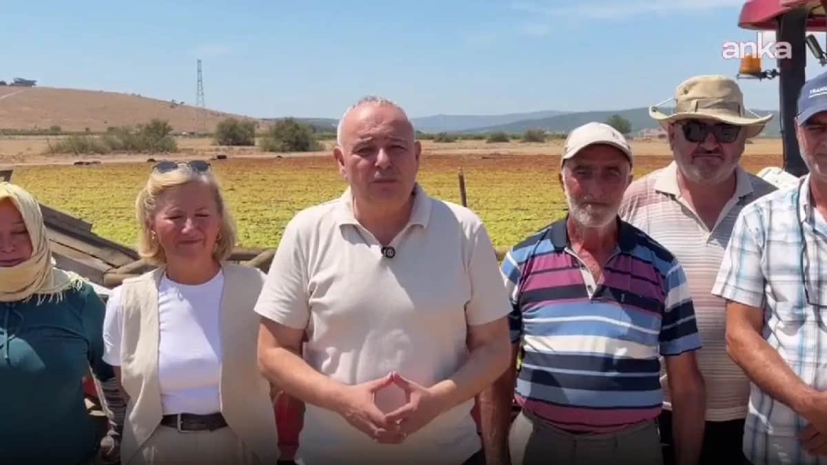 YENİ Partili Bakırlıoğlu üzüm üreticileriyle bir araya geldi: 'TMO derhal fiyatı açıklamalı' YENİ Partili Bakırlıoğlu üzüm üreticileriyle bir araya geldi: 'TMO derhal fiyatı açıklamalı'