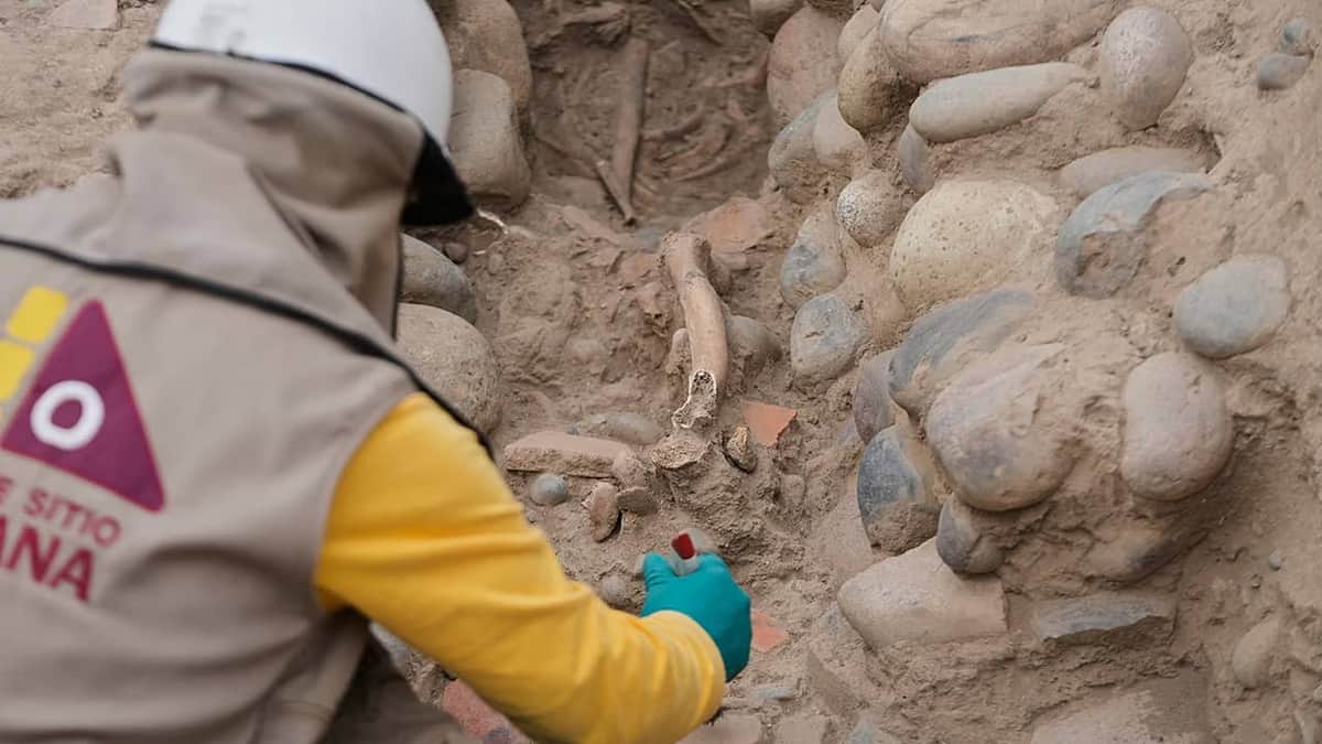 Peru’da 600 yıllık toplu mezar keşfedildi Peru’da 600 yıllık toplu mezar keşfedildi
