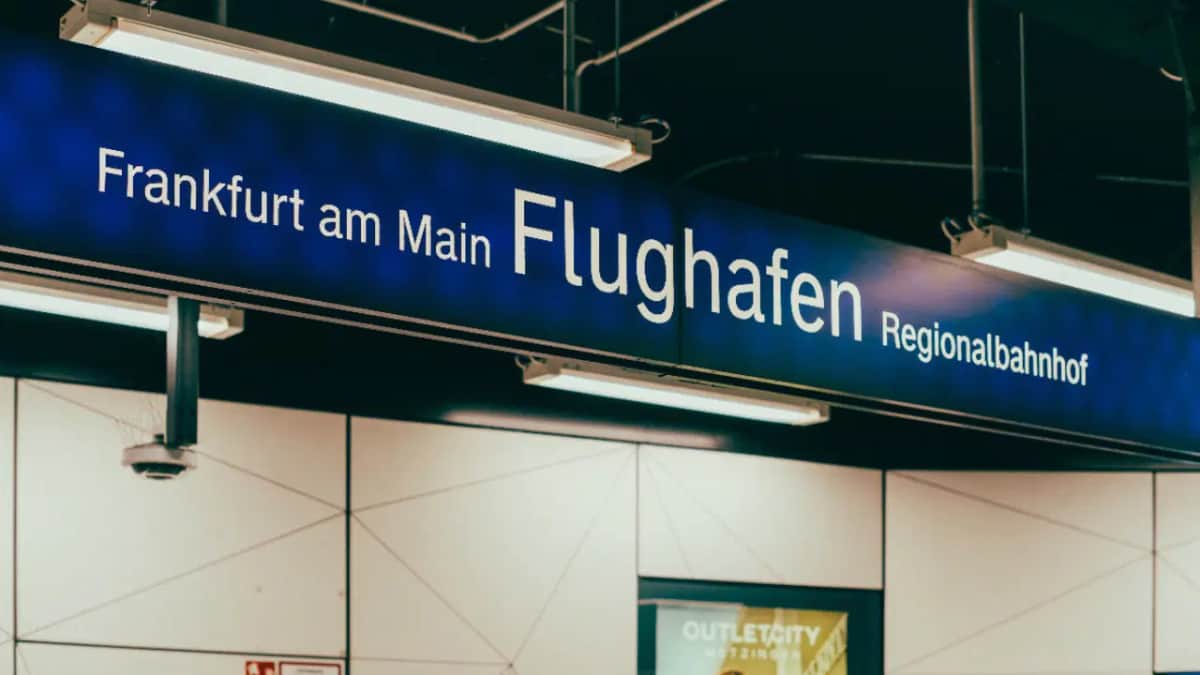 Almanya'da Frankfurt Havalimanı'nda çalışan 2 kişi sıtma nedeniyle öldü Almanya'da Frankfurt Havalimanı'nda çalışan 2 kişi sıtma nedeniyle öldü