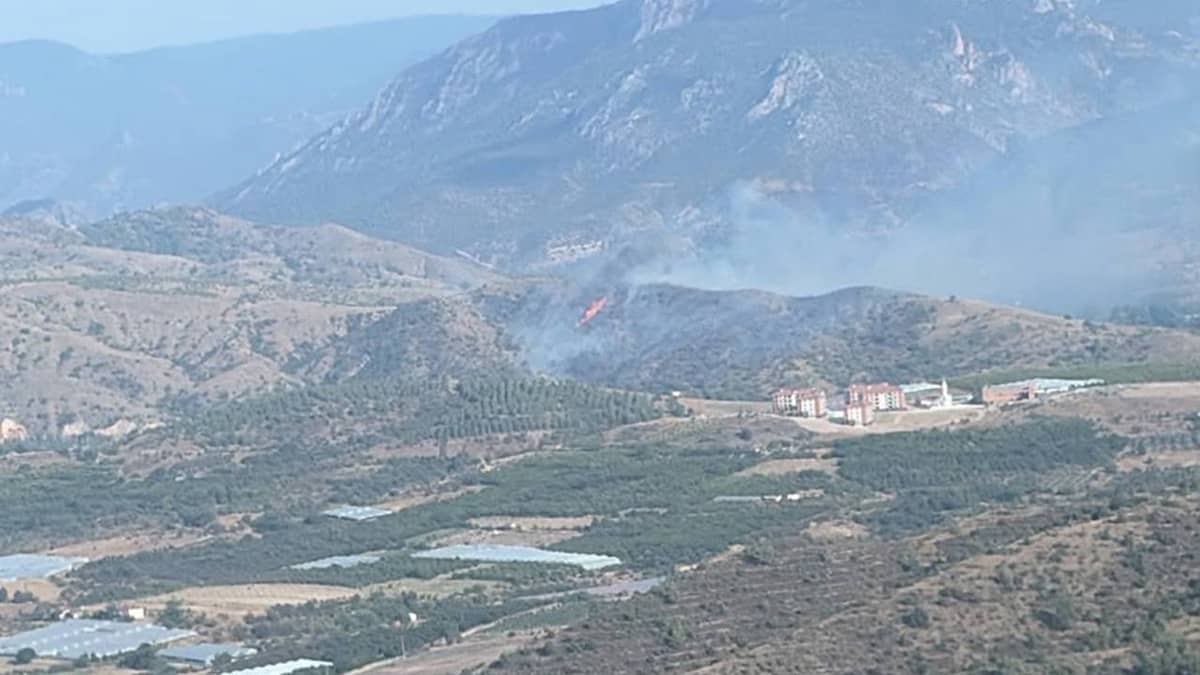 Bilecik’te orman yangını... Kontrol altına alındı Bilecik’te orman yangını... Kontrol altına alındı