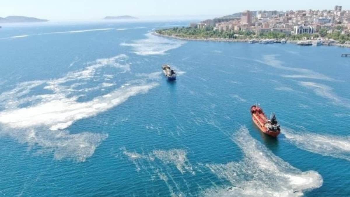 Kınalıada açıklarında arızalanan tekne kurtarıldı Kınalıada açıklarında arızalanan tekne kurtarıldı