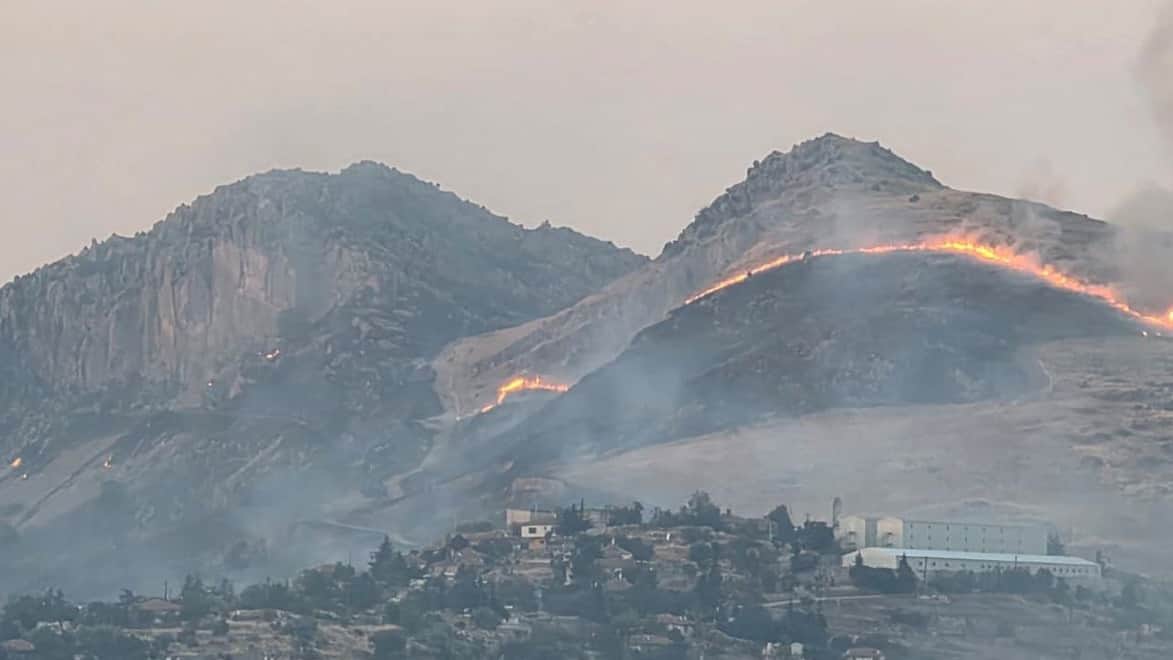 Ankara'da ağaçlık alanda yangın Ankara'da ağaçlık alanda yangın