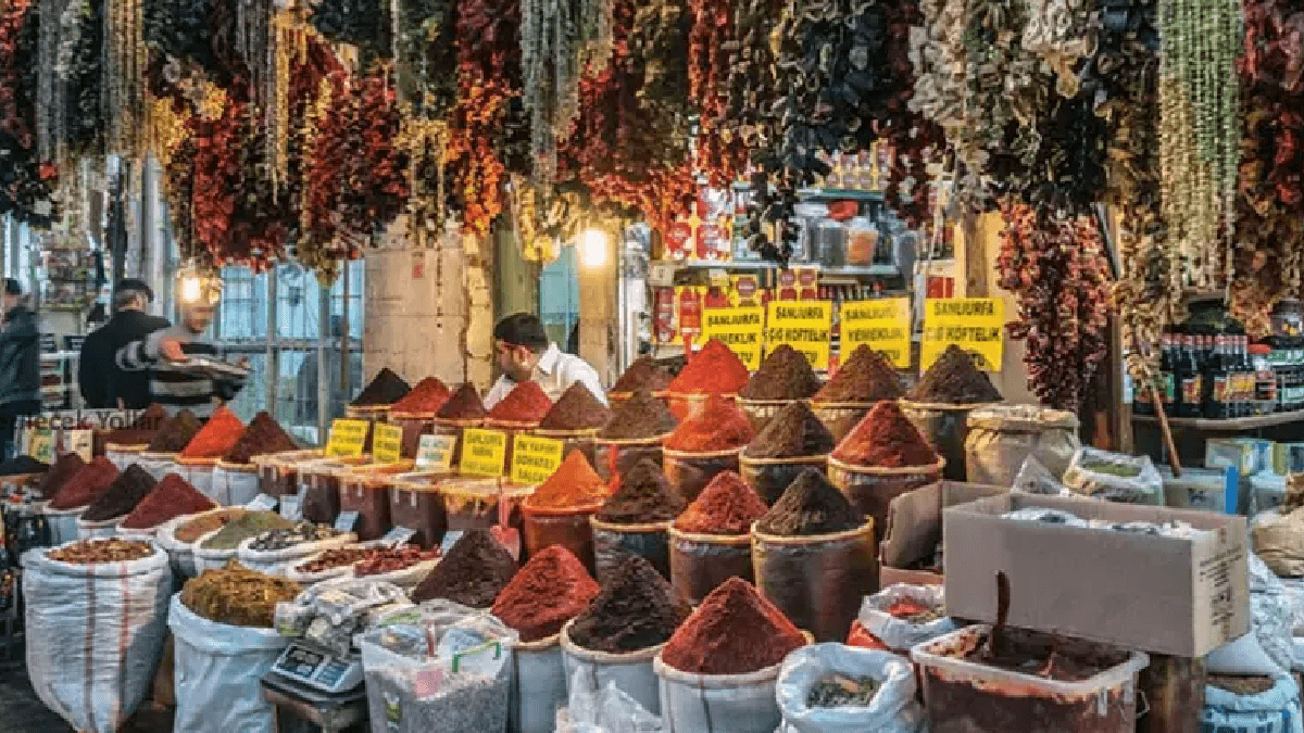 Fiyatı fındığı üçe katladı: Şanlıurfa’da kilosu 1.200 TL’den satılıyor Fiyatı fındığı üçe katladı: Şanlıurfa’da kilosu 1.200 TL’den satılıyor