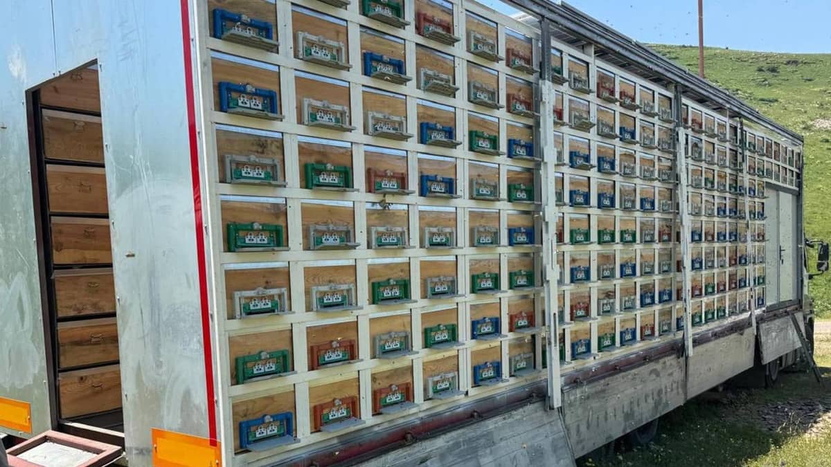 8 katlı TIR'da hasat başladı: 340 bölmeli yürüyen üretim üssü rekor kırıyor 8 katlı TIR'da hasat başladı: 340 bölmeli yürüyen üretim üssü rekor kırıyor