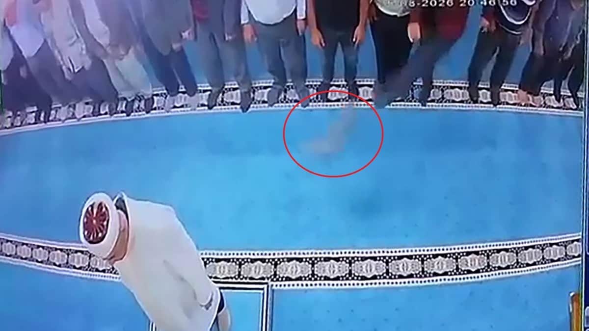 Kediyi tekmeleyip imamın kafasına atmıştı! Gözaltına alındı Kediyi tekmeleyip imamın kafasına atmıştı! Gözaltına alındı