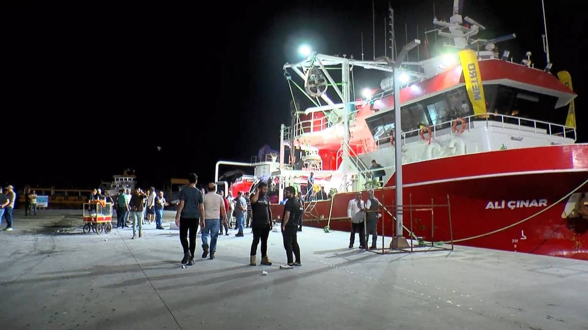 Balık avı sezonu açıldı: Palamut bolluğu var Balık avı sezonu açıldı: Palamut bolluğu var