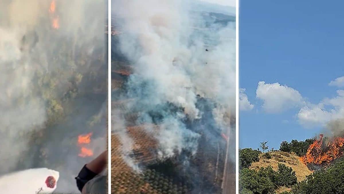 Manisa Soma'da orman yangını Manisa Soma'da orman yangını