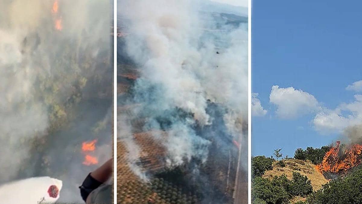 Manisa Soma'da orman yangını Manisa Soma'da orman yangını