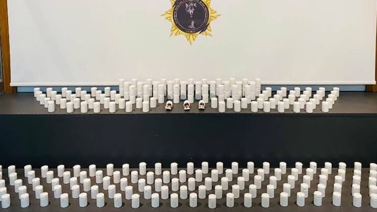 Samsun’da uyuşturucu operasyonu: 24 bin 640 sentetik ecza ele geçirildi Samsun’da uyuşturucu operasyonu: 24 bin 640 sentetik ecza ele geçirildi